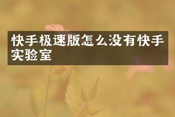 快手极速版怎么没有快手实验室