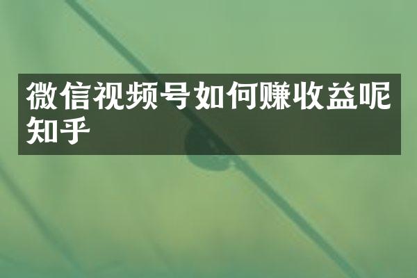 微信视频号如何赚收益呢知乎