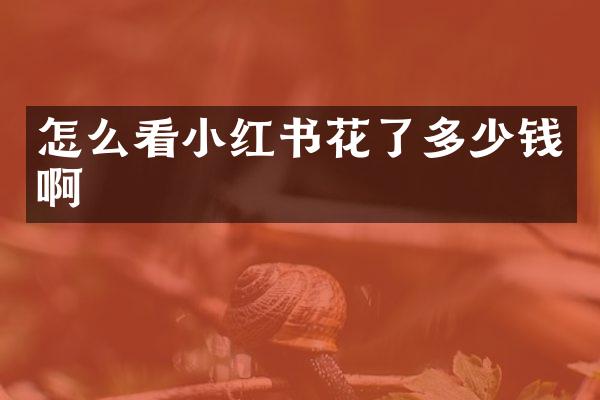 怎么看小红书花了多少钱啊