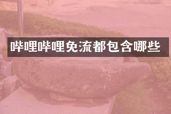 哔哩哔哩免流都包含哪些