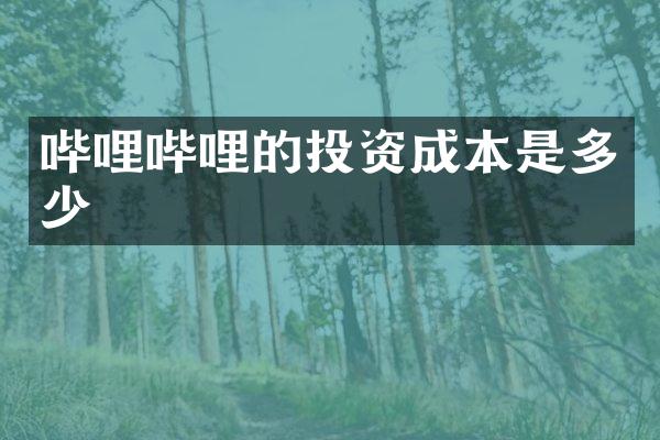 哔哩哔哩的投资成本是多少