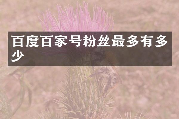 百度百家号粉丝最多有多少