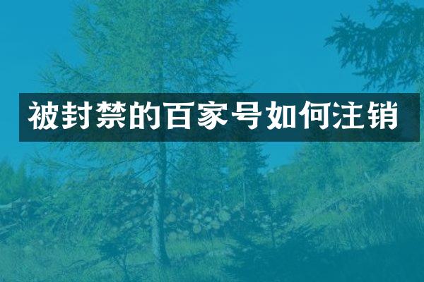被封禁的百家号如何注销