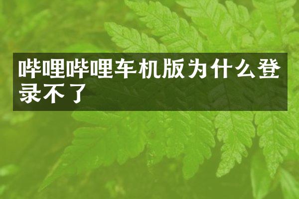 哔哩哔哩车机版为什么登录不了