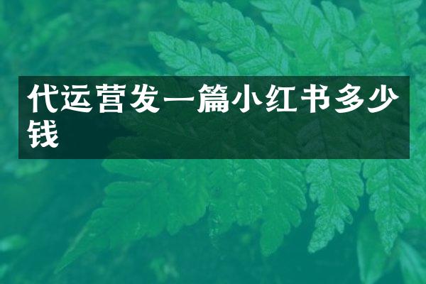 发一篇小红书多少钱