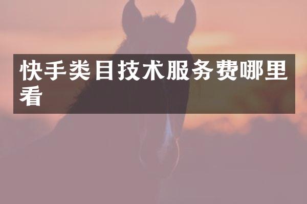 快手类目技术服务费哪里看