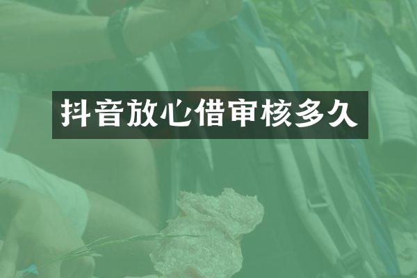 抖音放心借审核多久