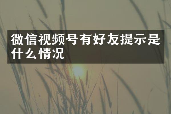 微信视频号有好友提示是什么情况