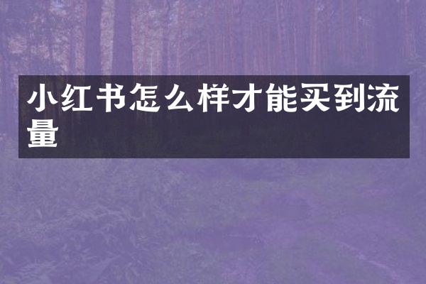 小红书怎么样才能买到流量