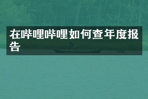 在哔哩哔哩如何查年度报告