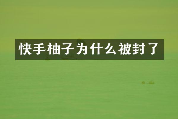 快手柚子为什么被封了
