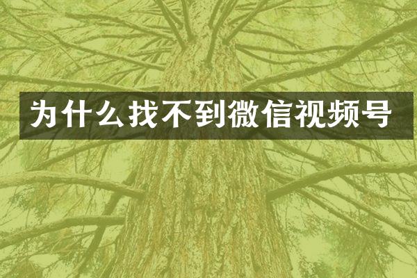 为什么找不到微信视频号