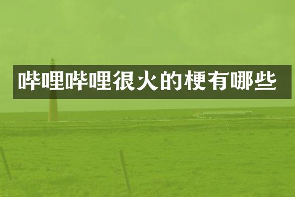 哔哩哔哩很火的梗有哪些