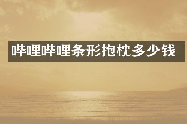 哔哩哔哩条形抱枕多少钱