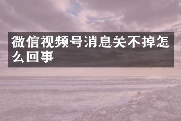 微信视频号消息关不掉怎么回事