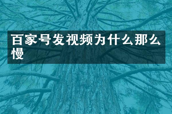 百家号发视频为什么那么慢