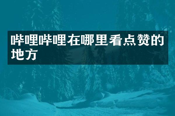 哔哩哔哩在哪里看点赞的地方