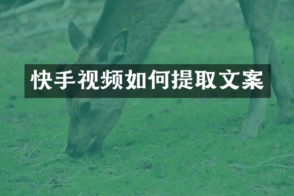 快手视频如何提取文案