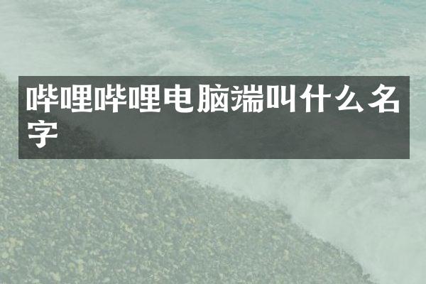 哔哩哔哩电脑端叫什么名字