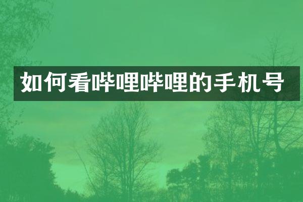 如何看哔哩哔哩的手机号