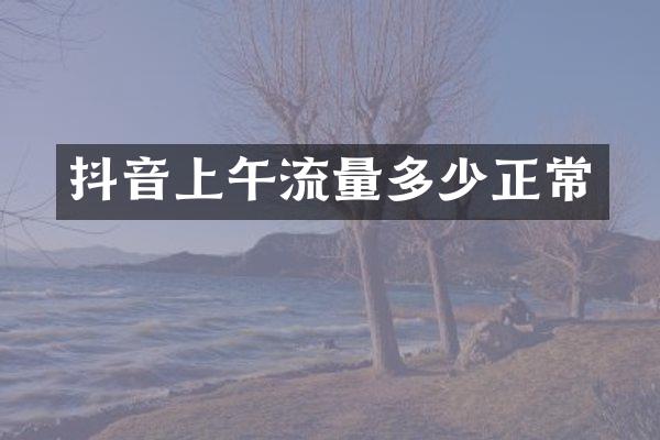 抖音上午流量多少正常