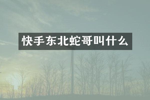 快手东北蛇哥叫什么