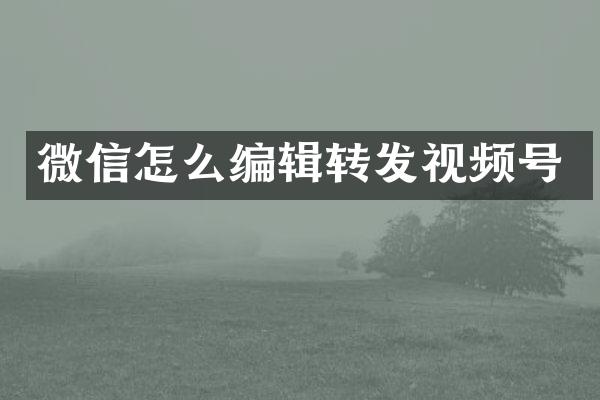 微信怎么编辑转发视频号