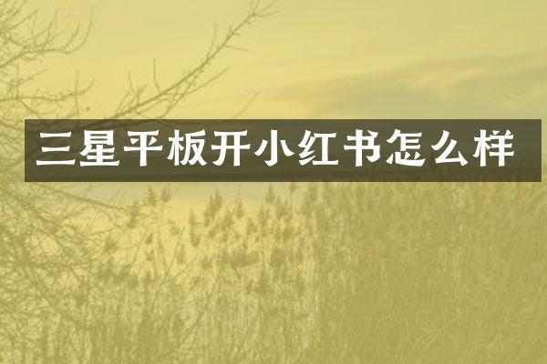 三星平板开小红书怎么样