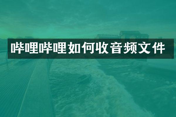 哔哩哔哩如何收音频文件