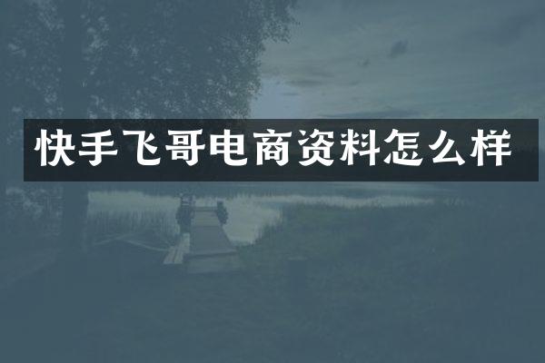 快手飞哥电商资料怎么样
