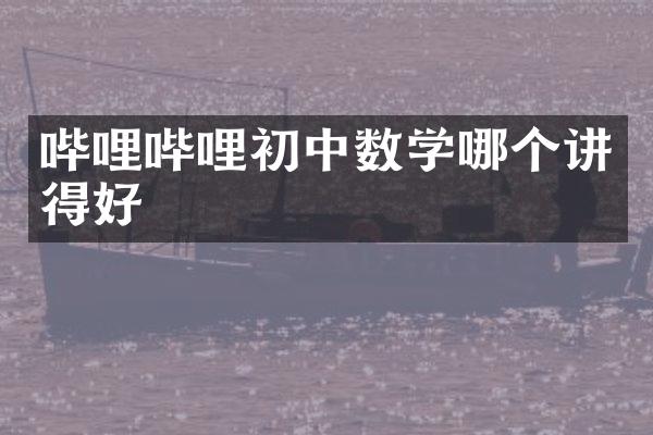 哔哩哔哩初中数学哪个讲得好