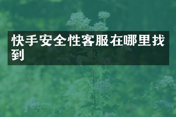 快手安全性客服在哪里找到