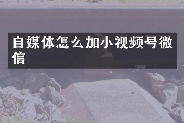 自媒体怎么加小视频号微信