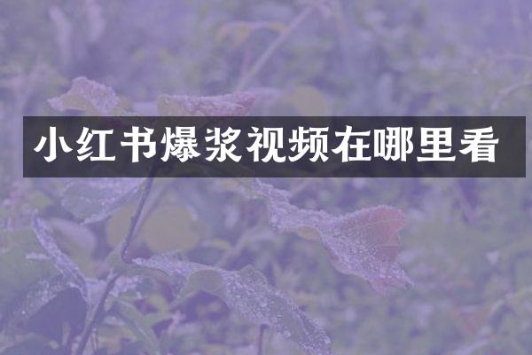 小红书爆浆视频在哪里看