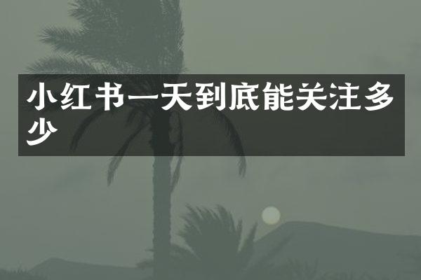 小红书一天到底能关注多少