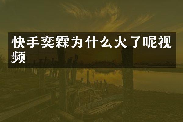 快手奕霖为什么火了呢视频