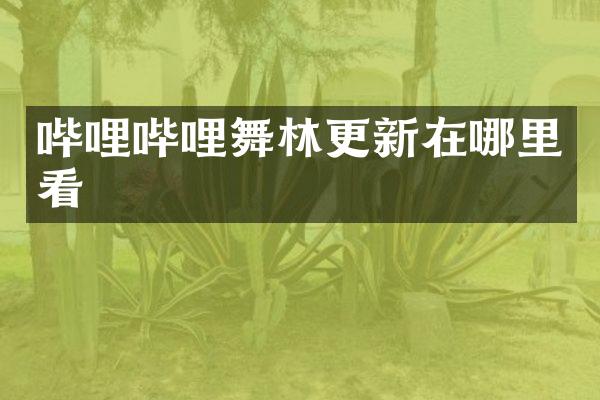 哔哩哔哩舞林更新在哪里看