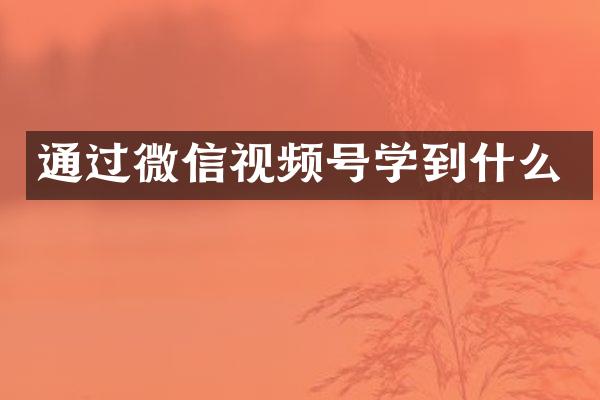 通过微信视频号学到什么