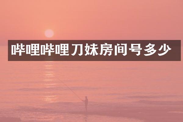 哔哩哔哩刀妹房间号多少