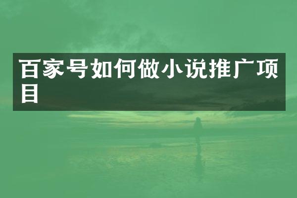 百家号如何做小说推广项目