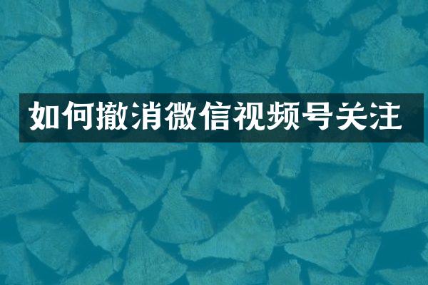 如何撤消微信视频号关注