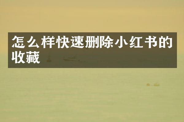 怎么样快速删除小红书的收藏
