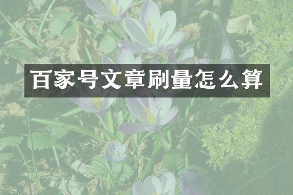 百家号文章刷量怎么算