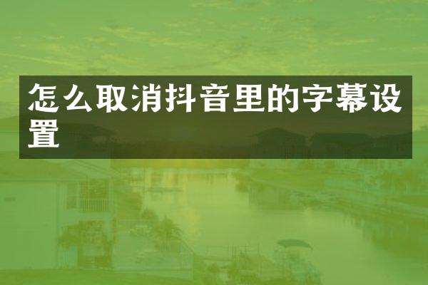怎么取消抖音里的字幕设置