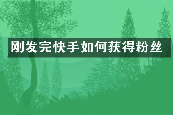 刚发完快手如何获得粉丝