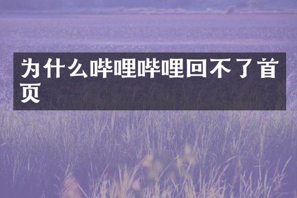 为什么哔哩哔哩回不了首页