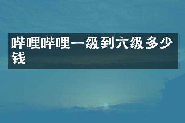 哔哩哔哩一级到六级多少钱