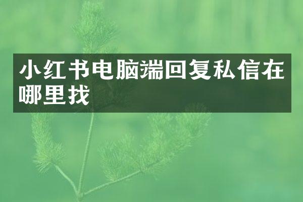 小红书电脑端回复私信在哪里找