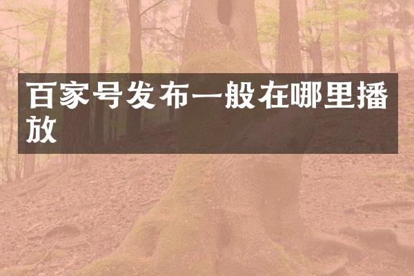 百家号发布一般在哪里播放
