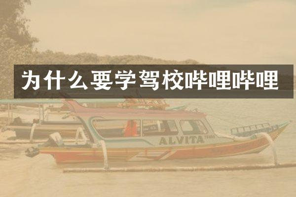 为什么要学驾校哔哩哔哩